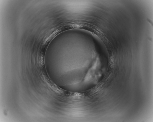 X0000101160330200807071204