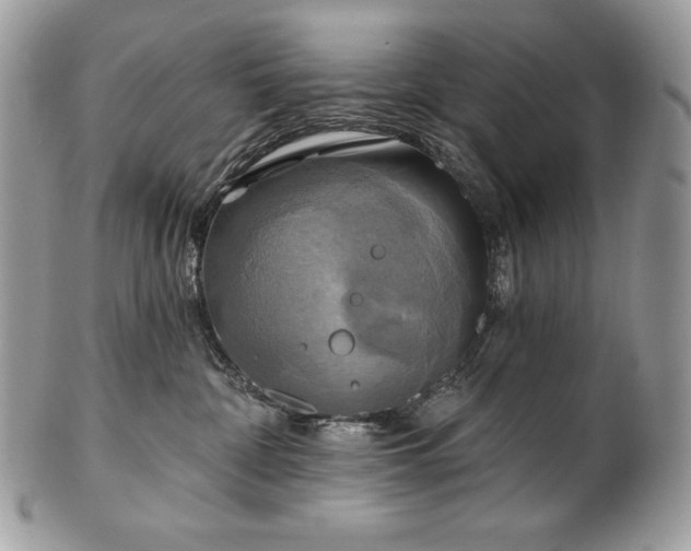 X0000101160332200807071204