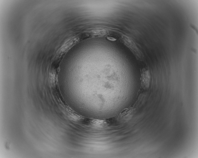 X0000101160333200807071204