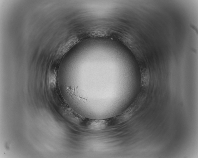 X0000101160334200807071204