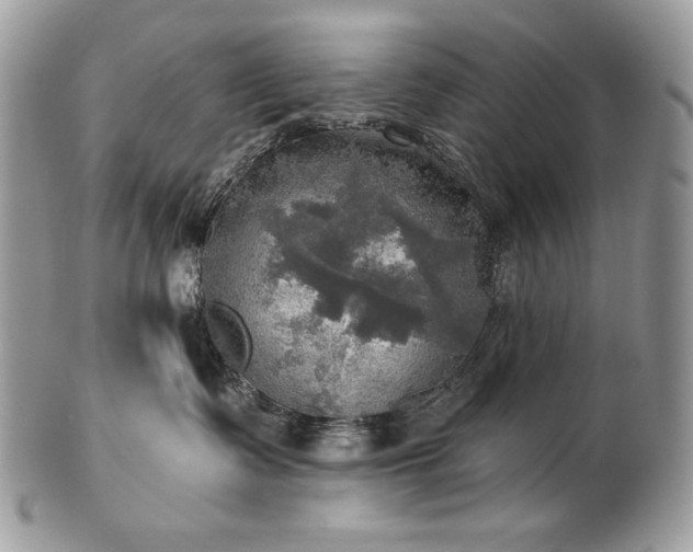 X0000101160335200807071204