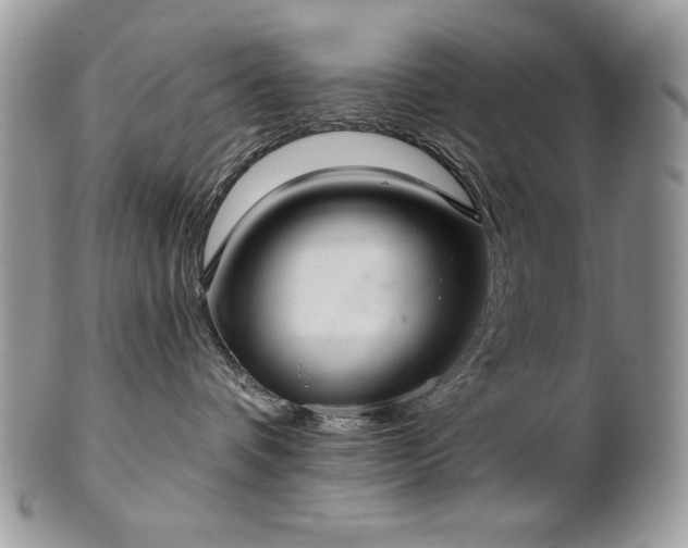 X0000101160336200807071204