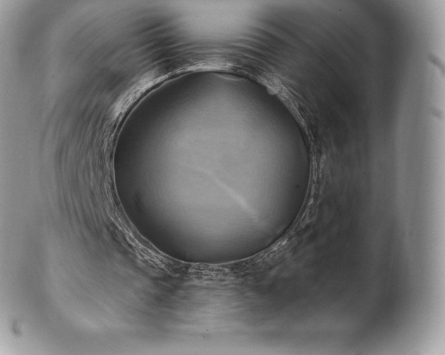 X0000101160337200807071203