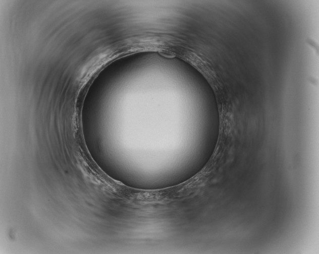 X0000101160338200807071203