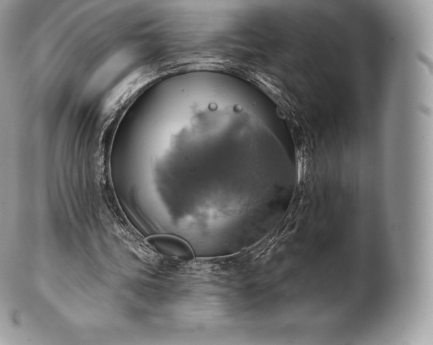 X0000101160339200807071203