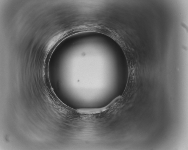 X0000101160340200807071203