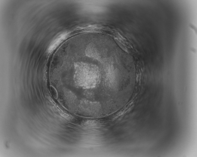 X0000101160341200807071203