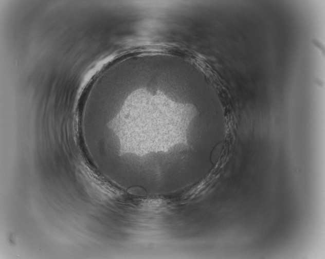 X0000101160342200807071203