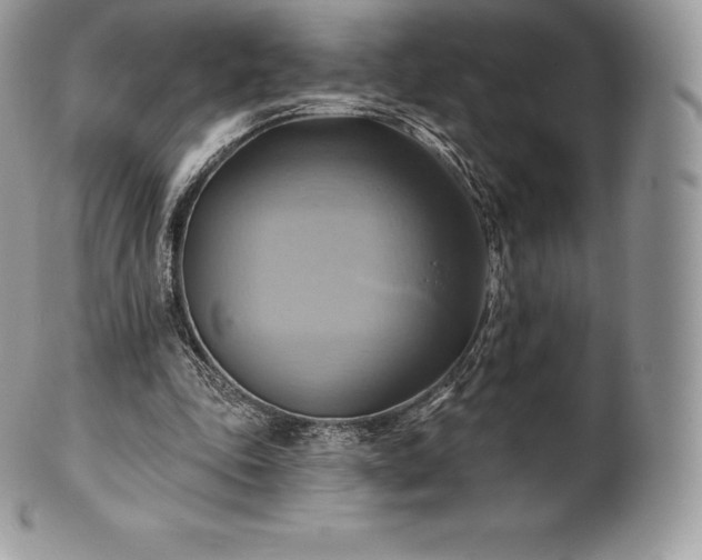 X0000101160343200807071203