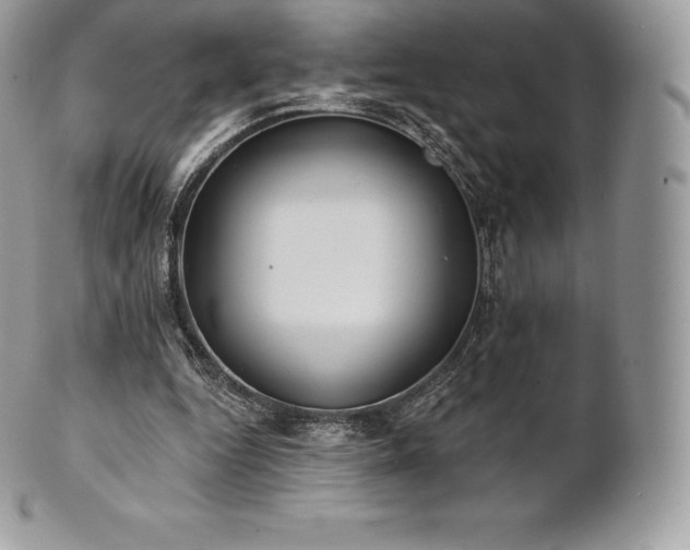 X0000101160344200807071203