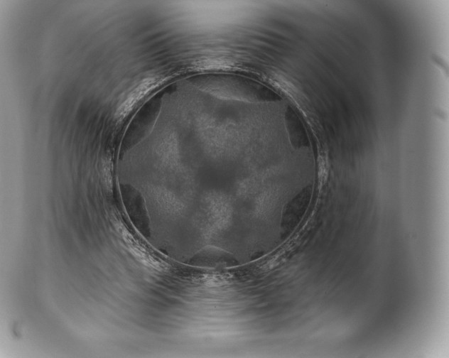 X0000101160345200807071203