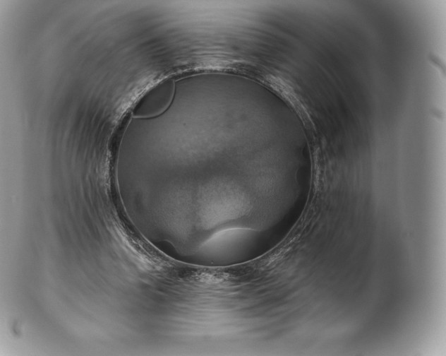 X0000101160346200807071203