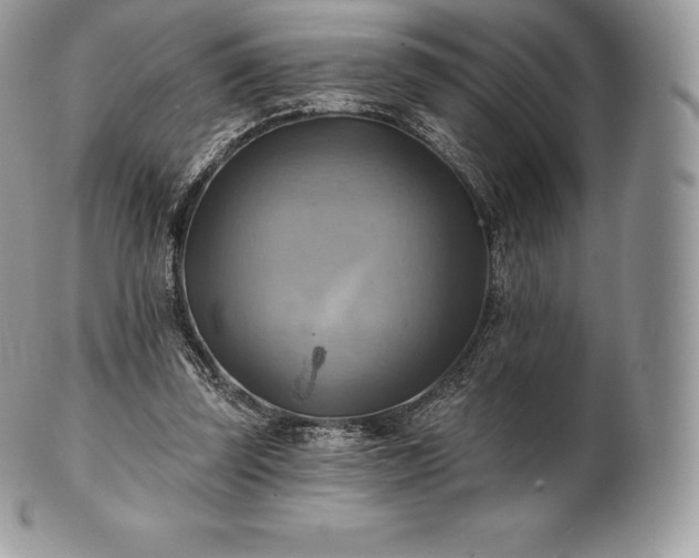 X0000101160347200807071203