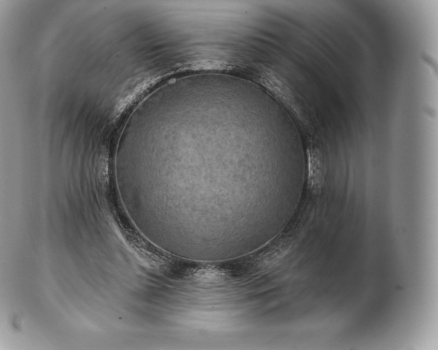 X0000101160348200807071203