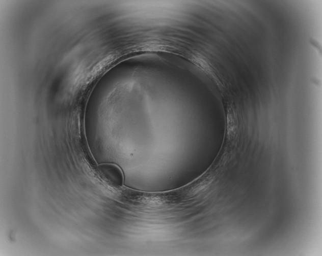 X0000101160349200807071203