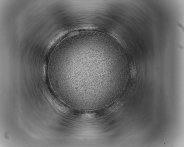 X0000101160350200807071203