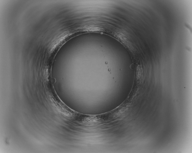 X0000101160351200807071203