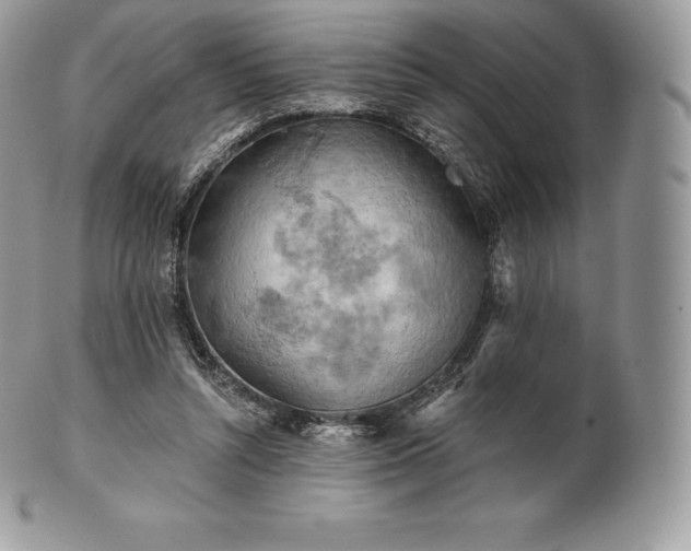 X0000101160352200807071203