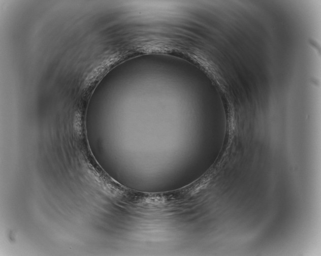 X0000101160353200807071203