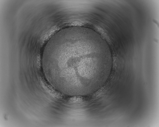 X0000101160354200807071203