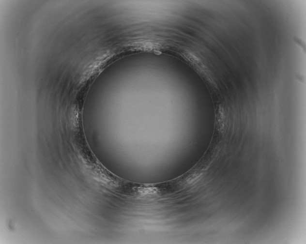 X0000101160355200807071203