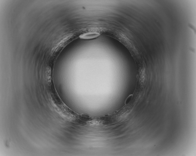 X0000101160356200807071203