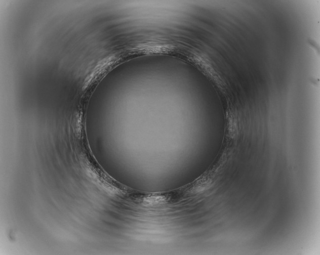 X0000101160357200807071203