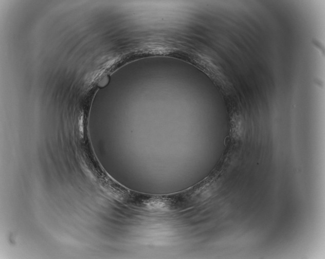 X0000101160358200807071203