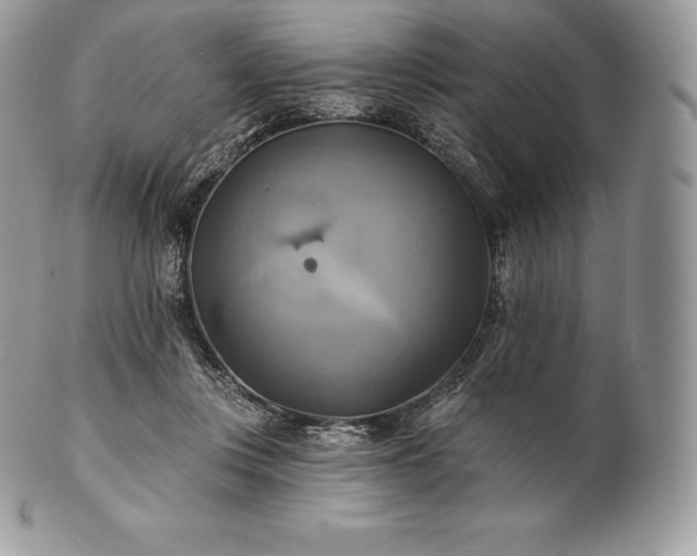 X0000101160359200807071203