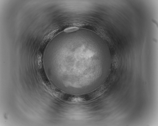 X0000101160360200807071203