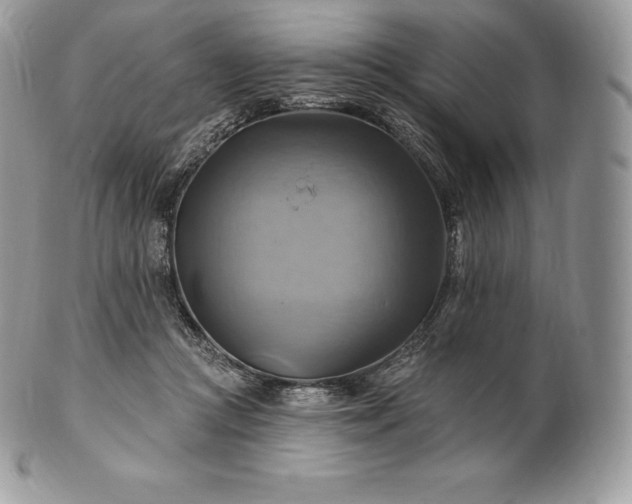 X0000101160361200807071203