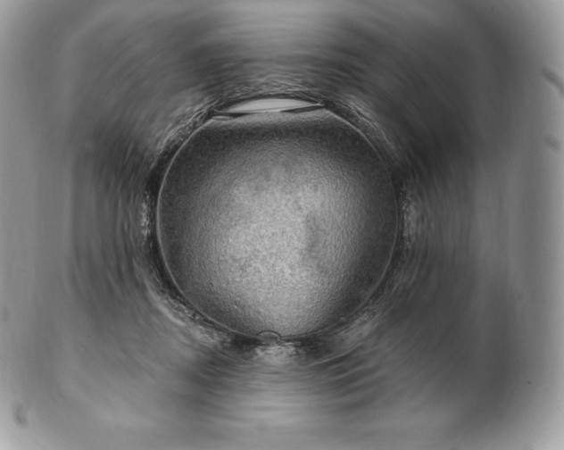 X0000101160362200807071203