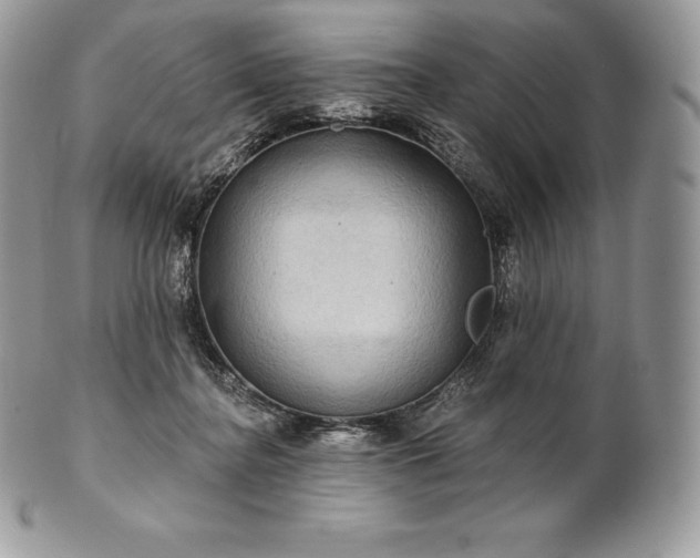 X0000101160364200807071203