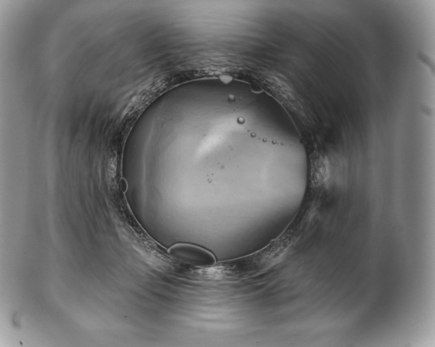 X0000101160365200807071203