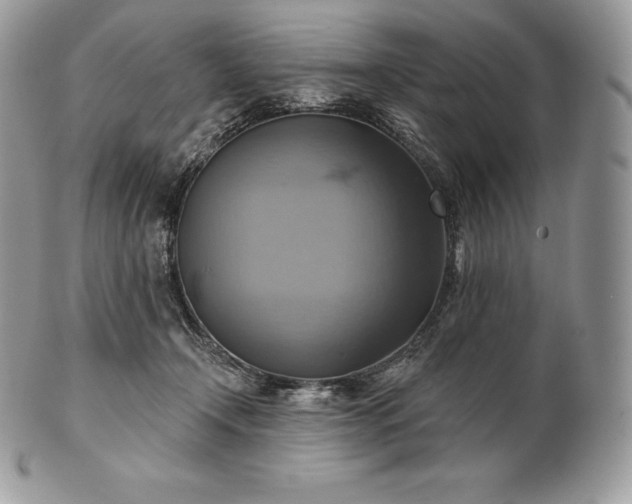 X0000101160366200807071203