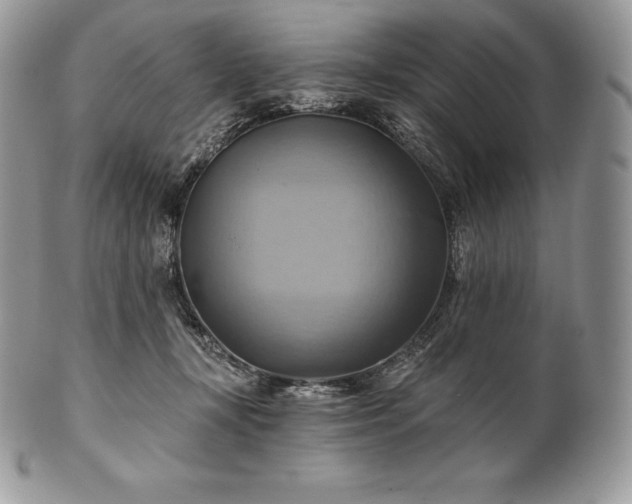 X0000101160367200807071203