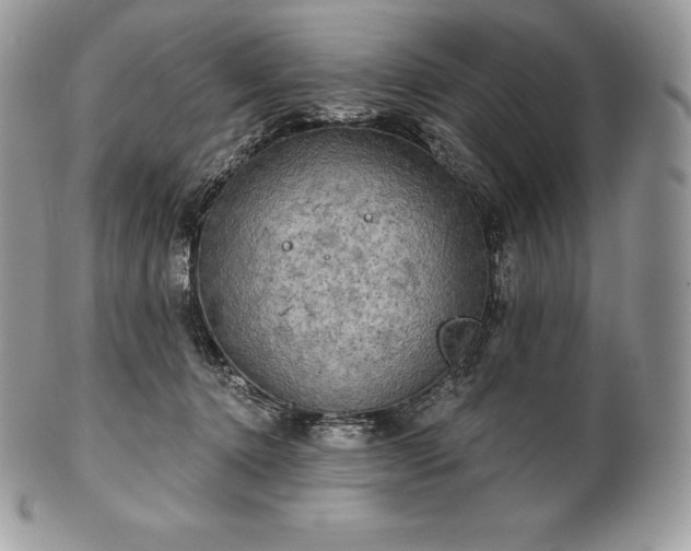 X0000101160368200807071203