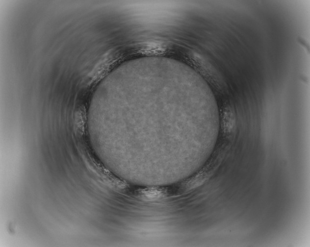 X0000101160370200807071204