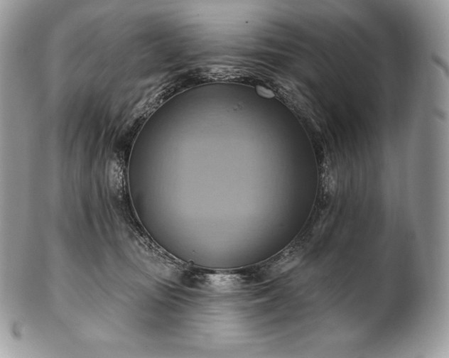 X0000101160371200807071204