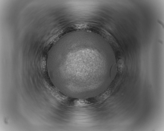 X0000101160372200807071204