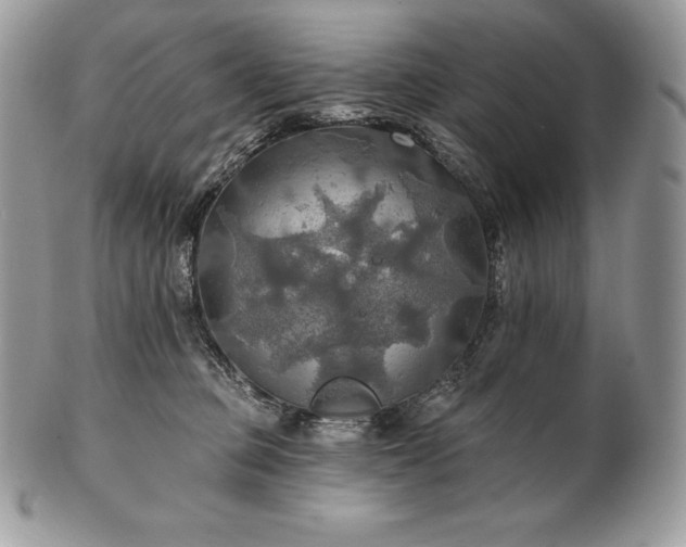 X0000101160373200807071204