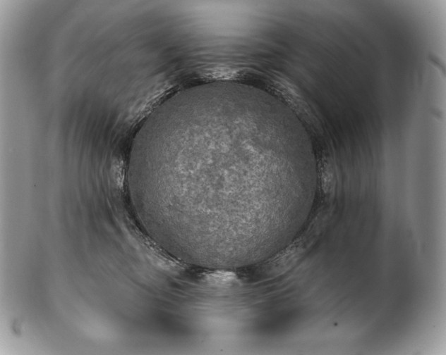 X0000101160374200807071204