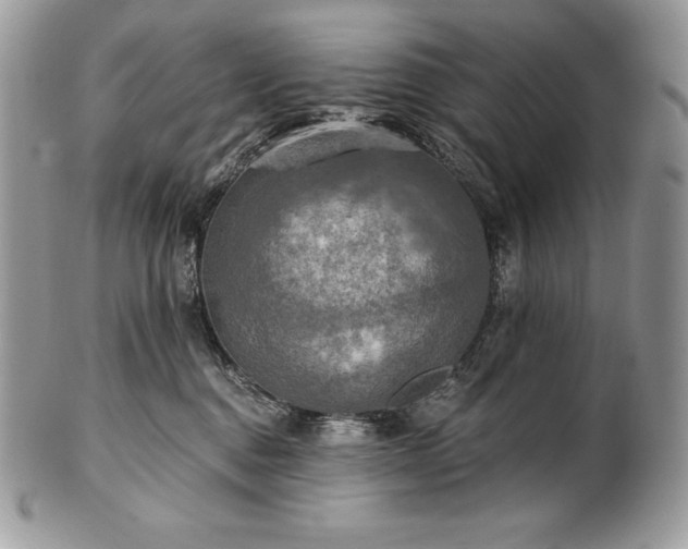 X0000101160376200807071204