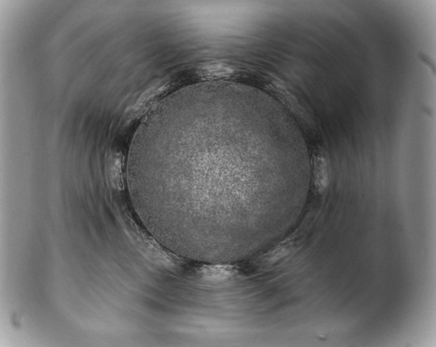 X0000101160378200807071204