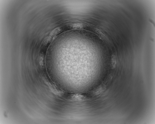 X0000101160379200807071204