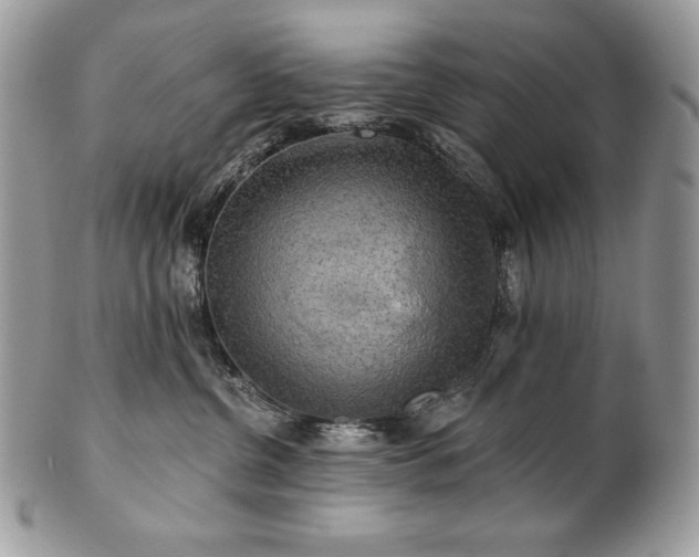 X0000101160380200807071204