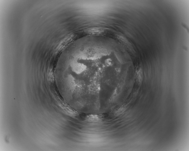 X0000101160381200807071204