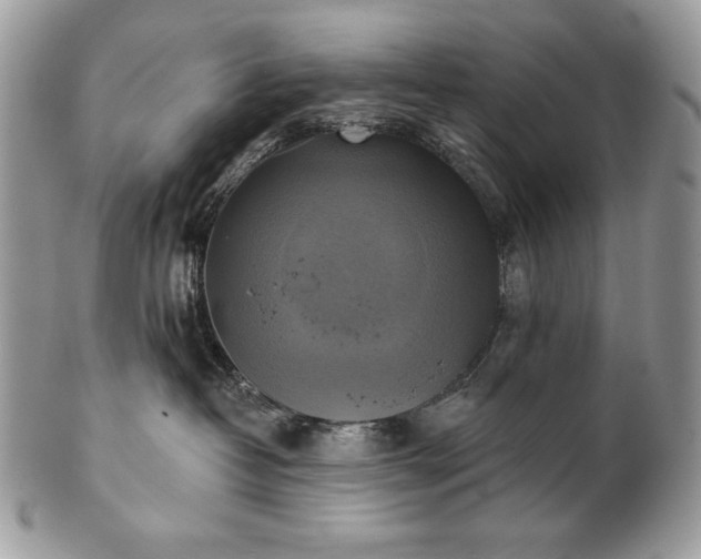 X0000101160382200807071204