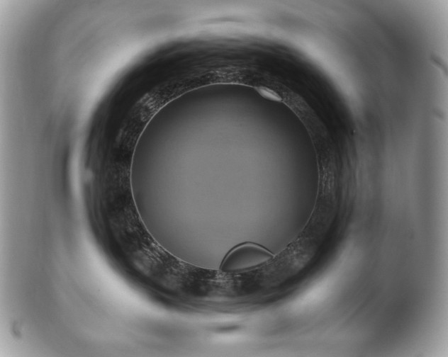 X0000101160383200807071204