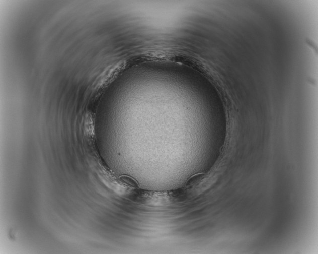 X0000101160384200807071204